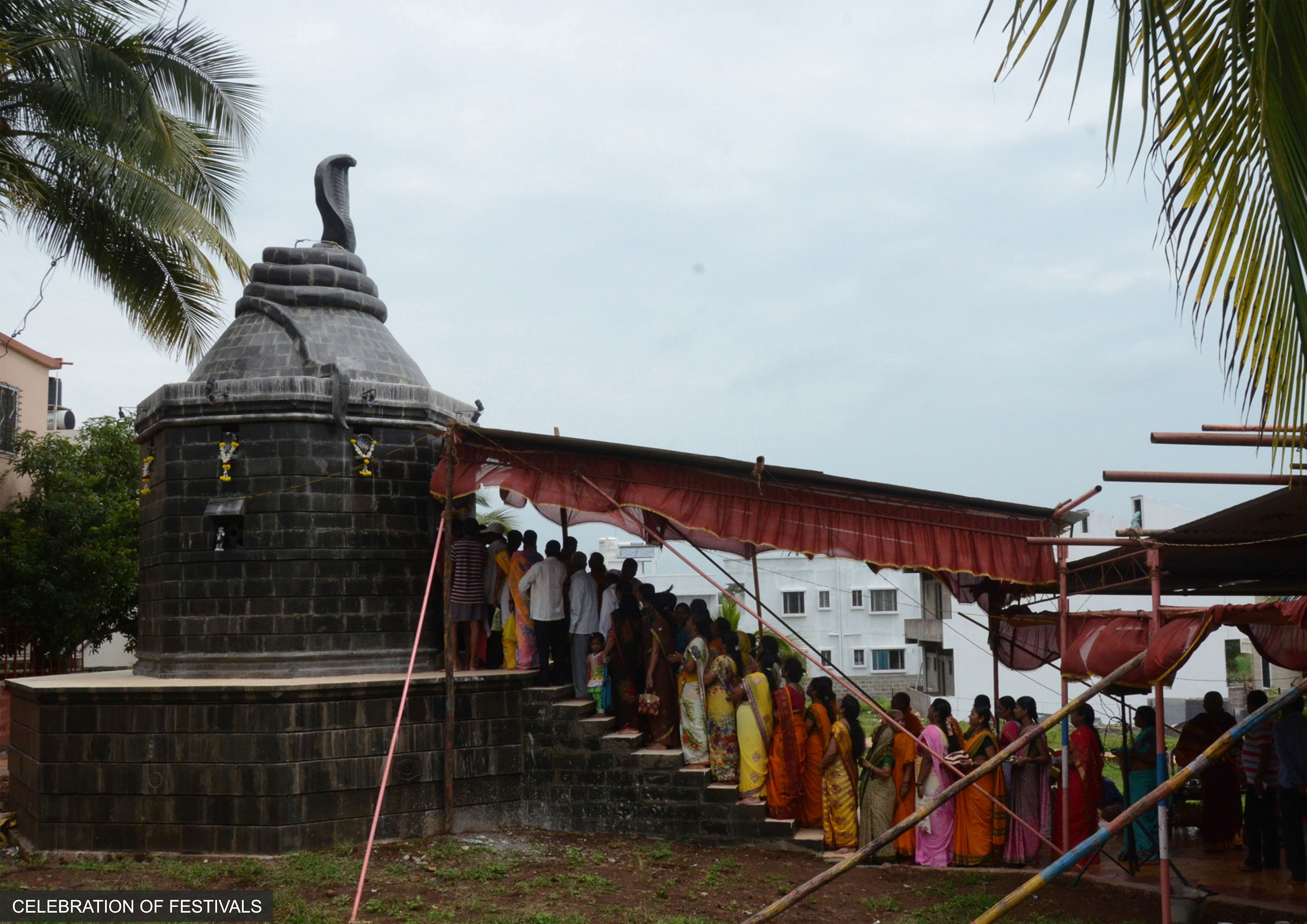 6 CELEBRATION OF OCCASSION